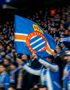 BANDERA ESCUDO COLOR SENYERA 2