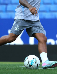 TRAINING SHORTS ADULT...